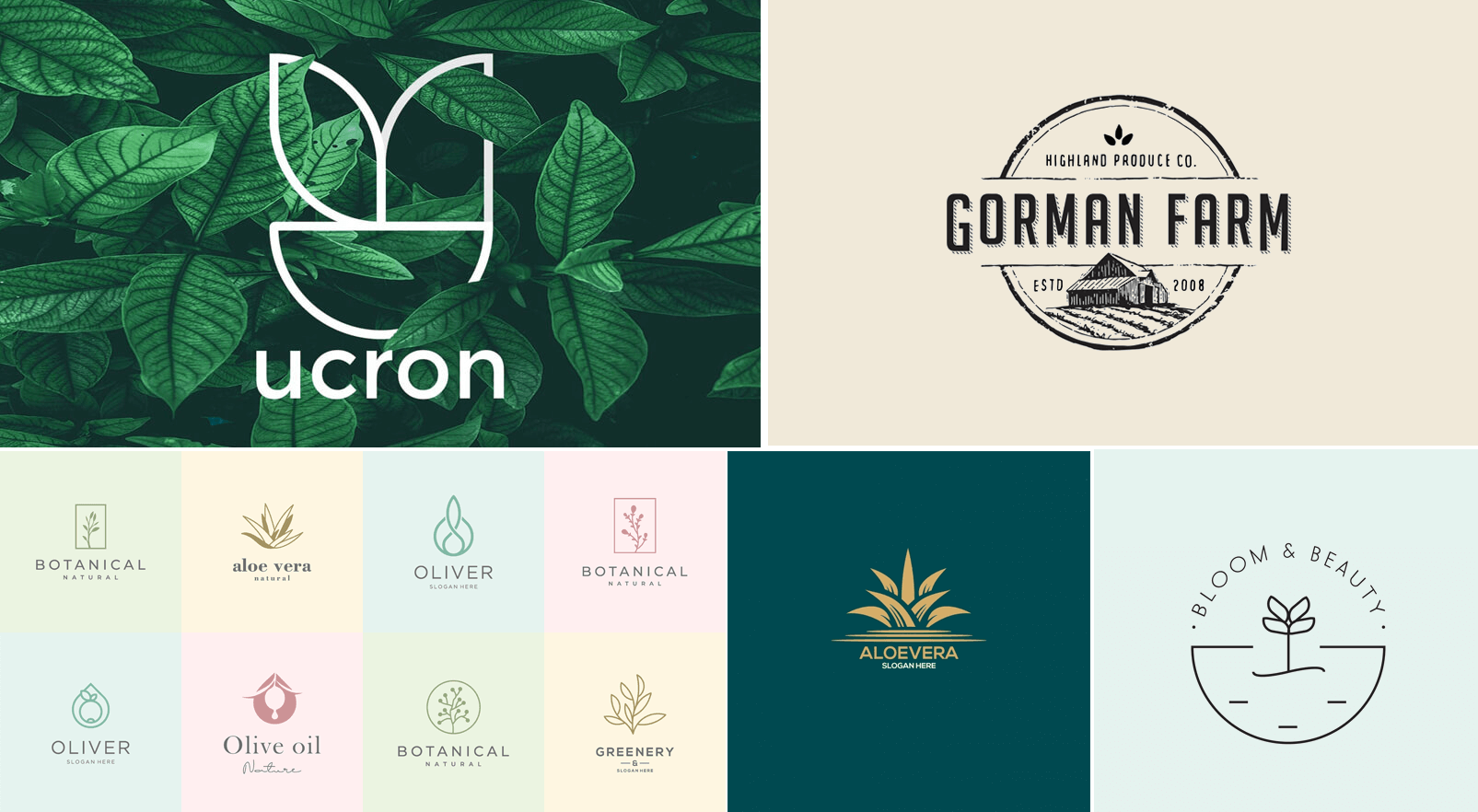 Natural logo, bio product logo Natural logo, bio product logo