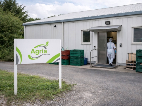 Agria Hungária üzemi cégtábla arculati megjelenés zöldségfeldolgozó vállalat számára
